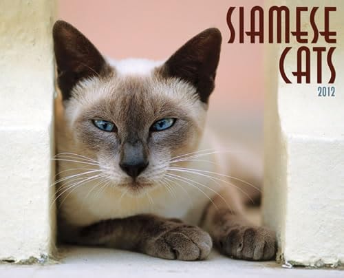 Siamese Cats 2012 Calendar