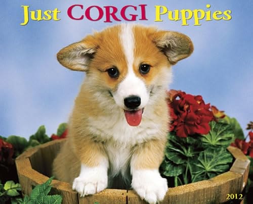 Corgi Puppies 2012 Calendar
