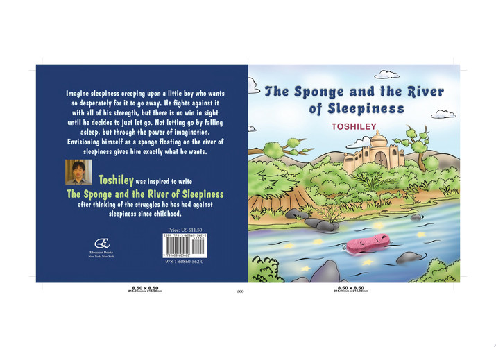 The Sponge and the River of Sleepiness