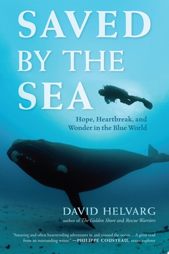 Saved by the Sea