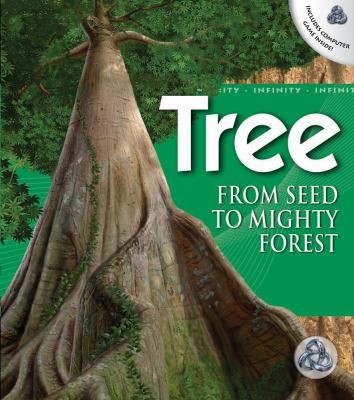 Tree From Seed To Mighty Forest