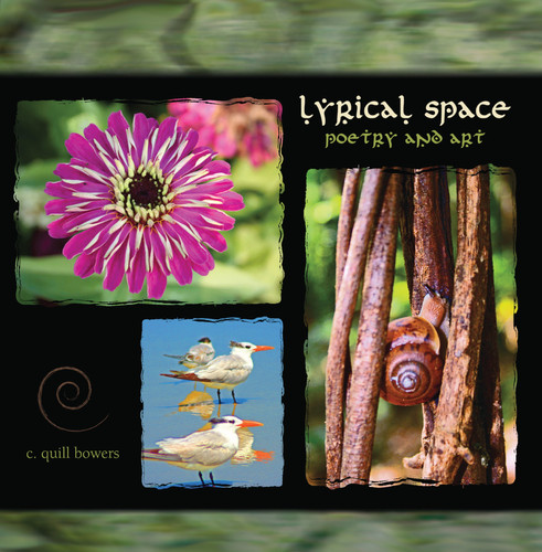 Lyrical Space Poetry and Art