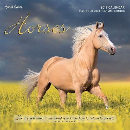 Horses 2019 Calendar