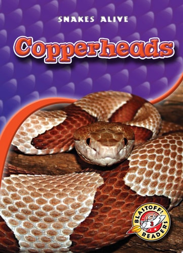 Copperheads