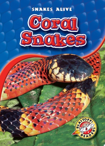 Coral Snakes