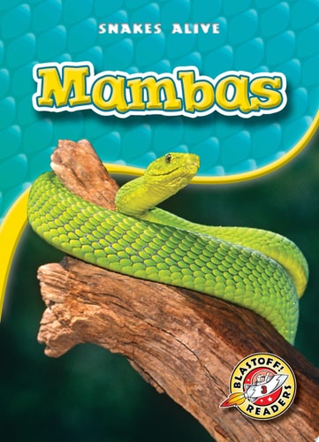 Mambas