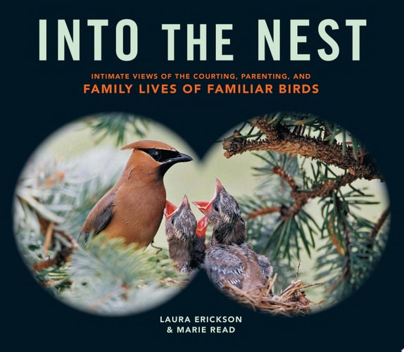 Into the Nest Intimate Views of the Courting, Parenting, and Family Lives of Familiar Birds