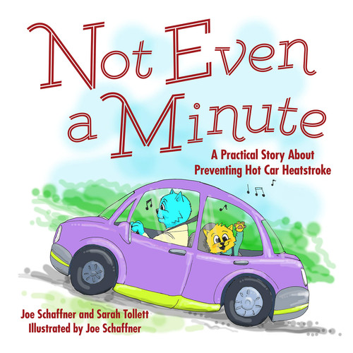 Not Even a Minute A Practical Story about Preventing Hot Car Heatstroke