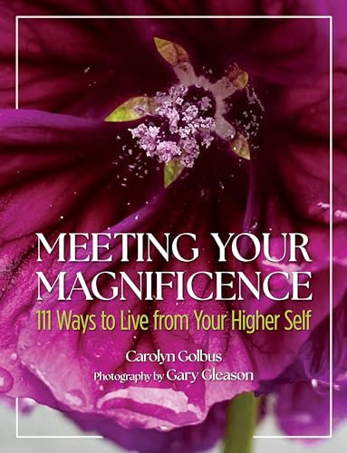 Meeting Your Magnificence 111 Ways to Live from Your Higher Self