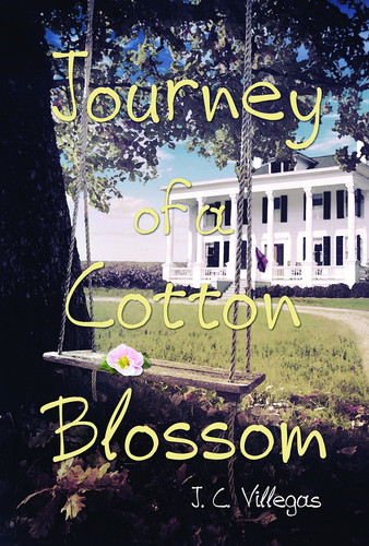 Journey of a Cotton Blossom