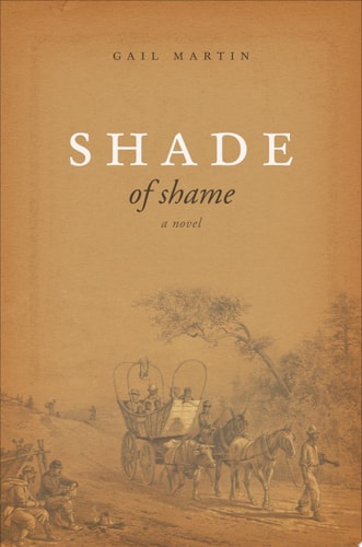 Shade of Shame A Novel