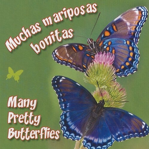 Muchas Mariposas Bonitas (Many Pretty Butterflies)