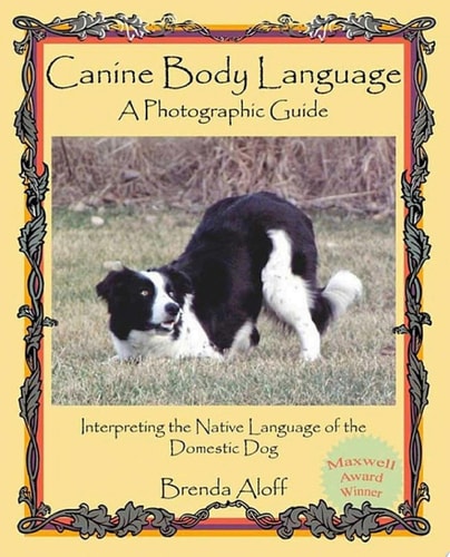 Canine Body Language A Photographic Guide