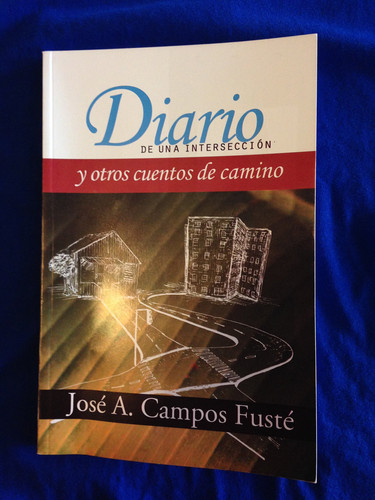 Diario de Una Interseccion Y Otros Cuentos de Camino