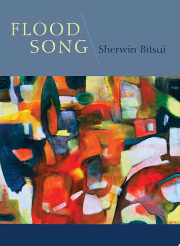 Flood song / Sherwin Bitsui