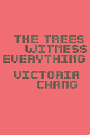 The trees witness everything