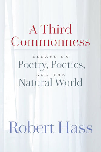 A third commonness: essays on poetry, poetics, and the natural world