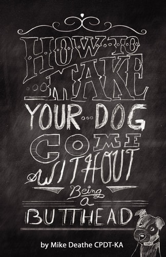 How to Make Your Dog Come Without Being a Butt-Head