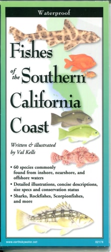 Fishes of The Southern California Coast