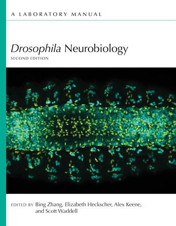 Drosophila neurobiology: a laboratory manual