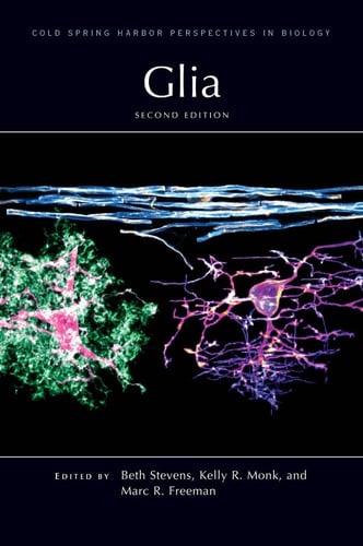 Glia