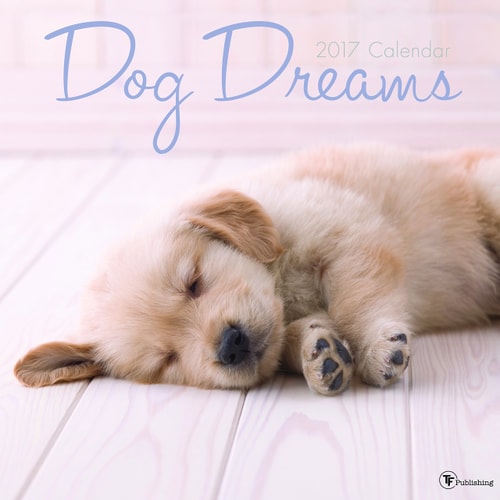 Dog Dreams 2017 Calendar