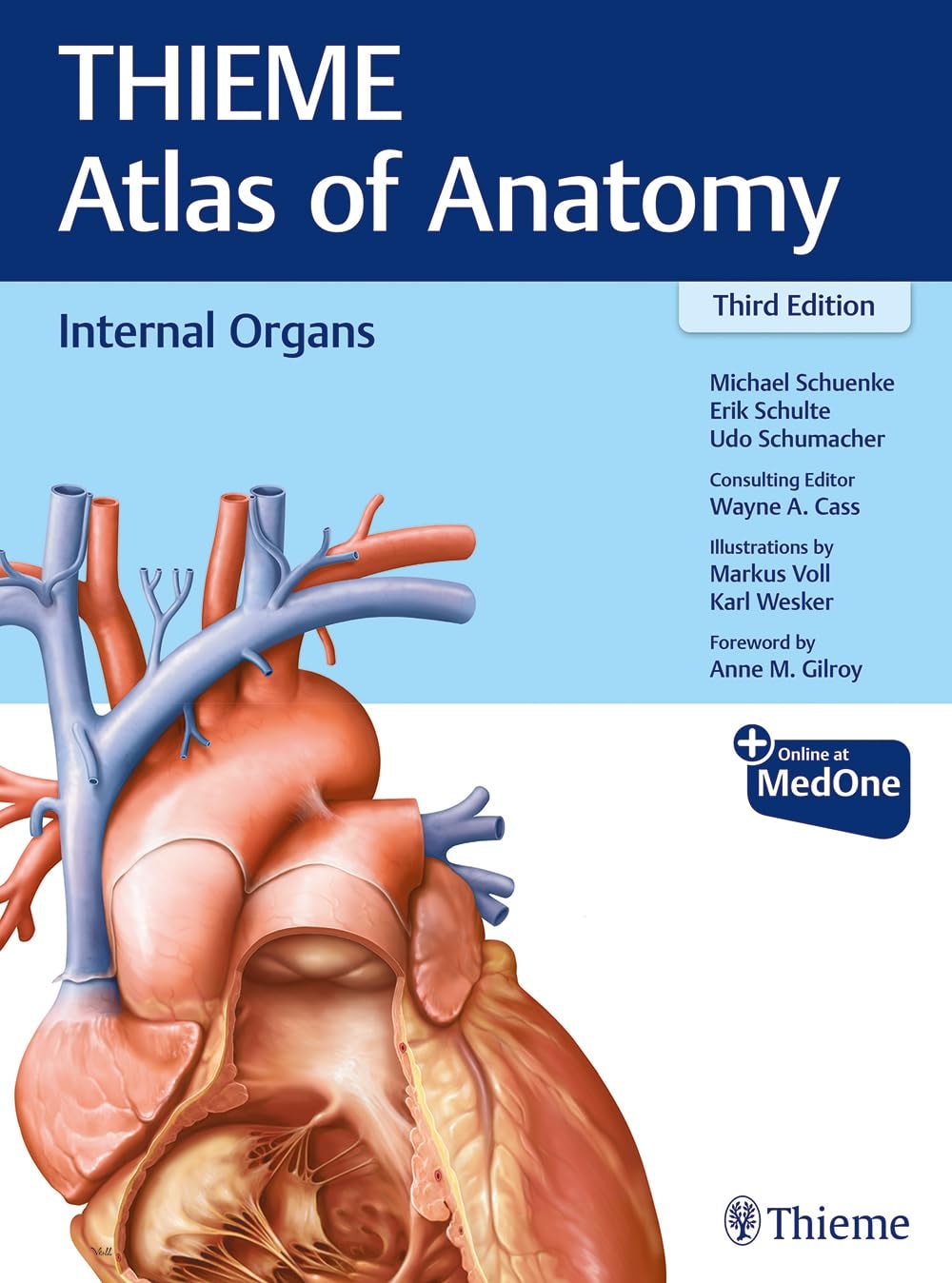 Thieme Atlas of Anatomy Internal organs