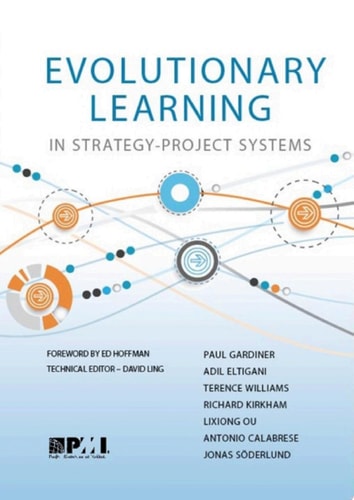 Evolutionary Learning in Strategy-Project Systems