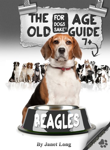 The Beagle Old Age Care Guide 7+
