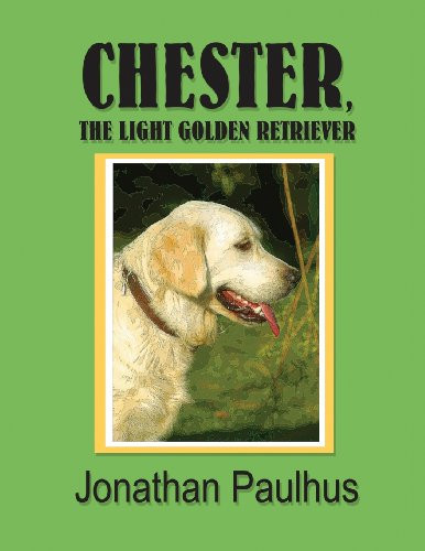 Chester, the Light Golden Retriever