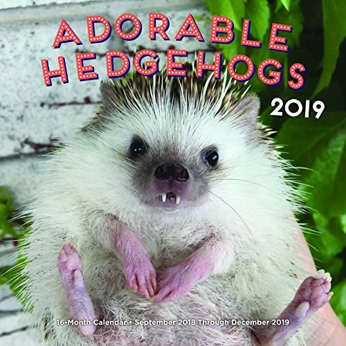 Adorable Hedgehogs 2019: 16-Month Calendar - September 2018 through December 2019