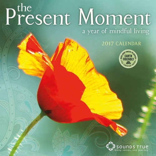 Present Moment 2017 Mini Calendar A Year of Mindful Living