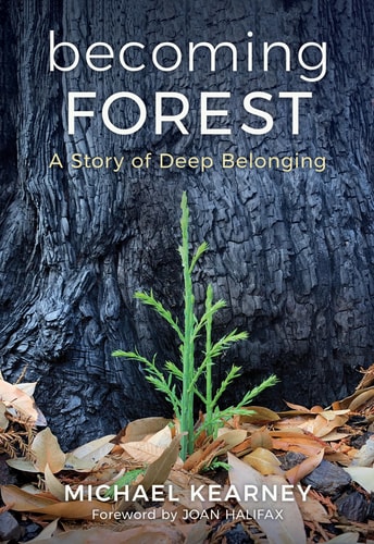 Becoming Forest: a Story of Deep Belonging