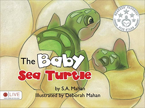 The Baby Sea Turtle