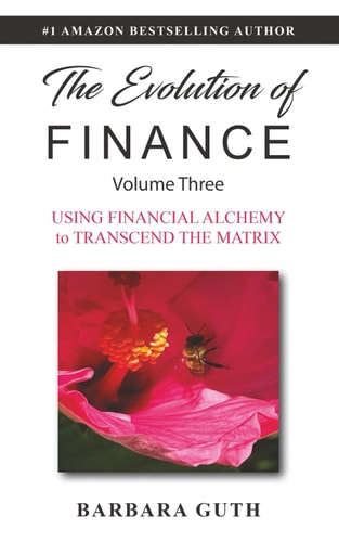 The Evolution of Finance: Using Financial Alchemy to Transcend the Matrix