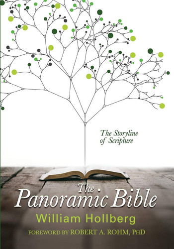 The Panoramic Bible The Storyline of Scripture