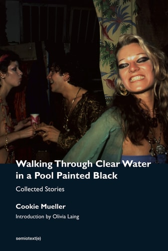 Walking Through Clear Water in a Pool Painted Black, new edition Collected Stories