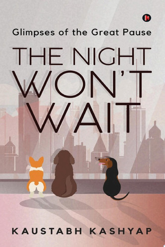 THE NIGHT WON'T WAIT GLIMPSES OF THE GREAT PAUSE
