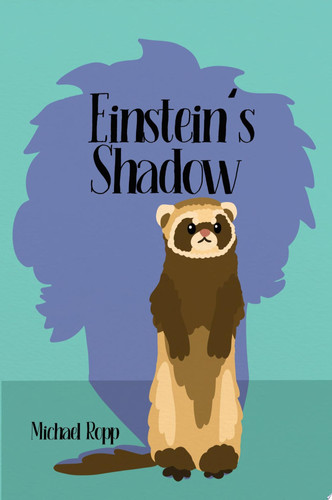 Einstein's Shadow
