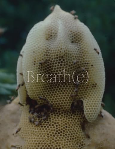 Breath(e) Toward Climate and Social Justice