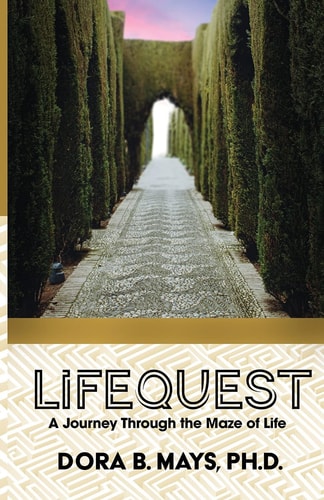 LifeQuest A Journey Through the Maze of Life