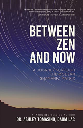 Between Zen and Now A Guided Journey Through the Modern Shamanic Matrix