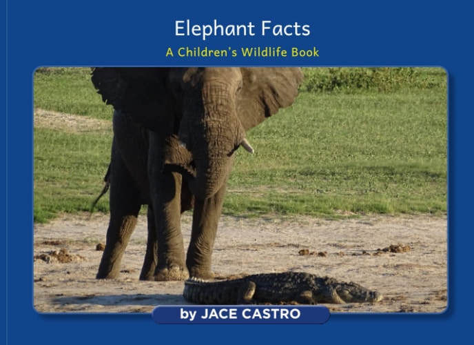 Elephant Facts: A Children's Wildlife Book