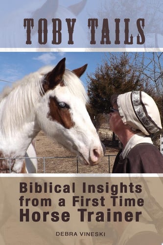 Toby Tails Biblical Insights from a First Time Horse Trainer