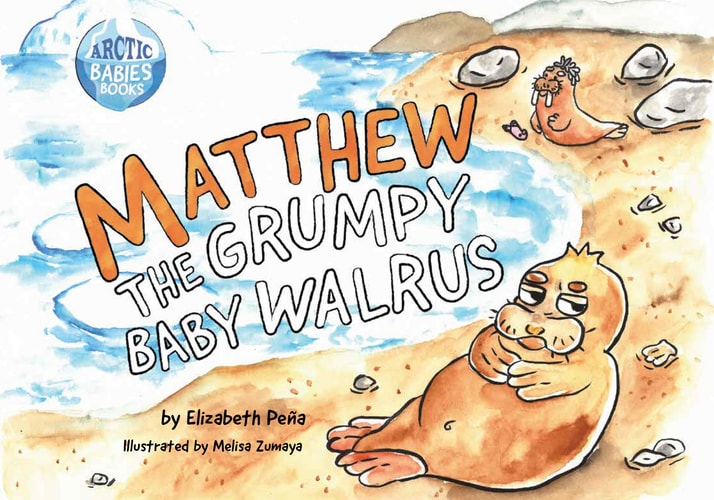 Matthew the Grumpy Baby Walrus