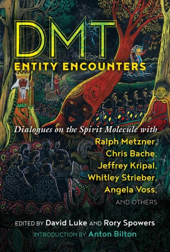 DMT Entity Encounters Dialogues on the Spirit Molecule with Ralph Metzner, Chris Bache, Jeffrey Kripal, Whitley Strieber, Angela Voss, and Others