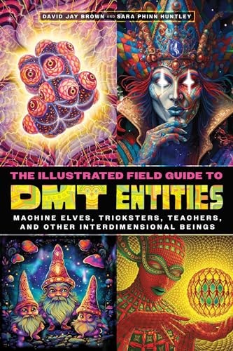 The Illustrated Field Guide to DMT Entities Machine Elves, Tricksters, Teachers, and Other Interdimensional Beings