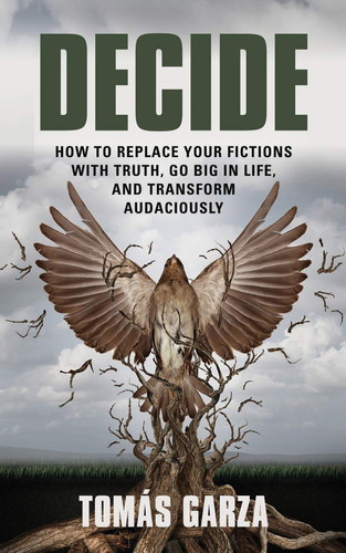 Decide How to Replace Your Fictions with Truth, Go Big in Life, and Transform Audaciously