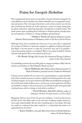 Energetic Herbalism: A Guide to Sacred Plant Traditions Integrating Elements of Vitalism, Ayurveda, and Chinese Medicine