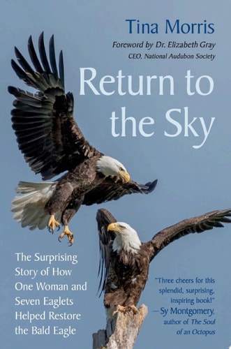Return to the Sky